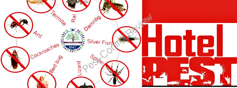 Pest control orlando fl