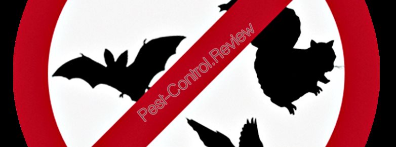 control pest companies seattle