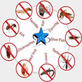 pest control site durham.gov.uk