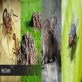 pest control legislation uk