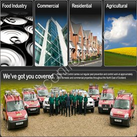 pest control directory