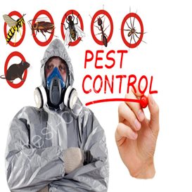 pest control management system