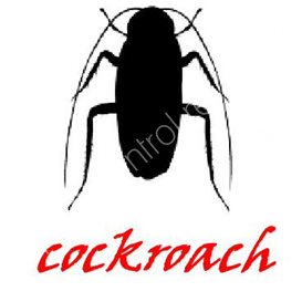 pest control milton keynes reviews