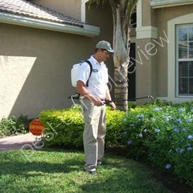 ship shape pest control