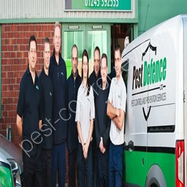 what is the best pest control