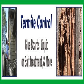 beccles pest control