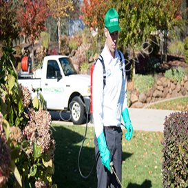 pest control clothes moths cardiff