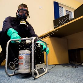 pest control information