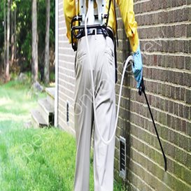 pest control katy tx