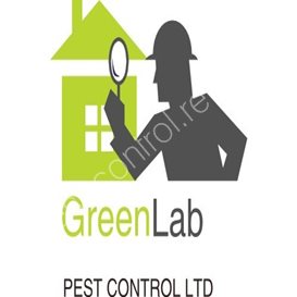 pest control forest of dean