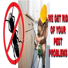 collier pest control
