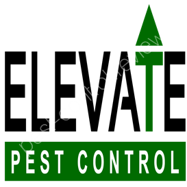 pest control portsmouth ohio