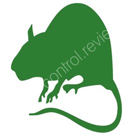 pest control midhurst