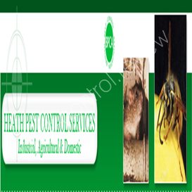 pest control thanet council