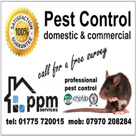 pest control eastbourne