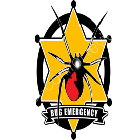 sandwell council pest control phone number