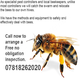 terminator pest control limited