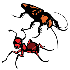 solar pest control products
