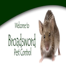 pest control solo woox
