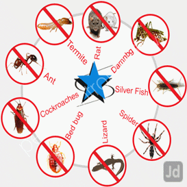 country pest control