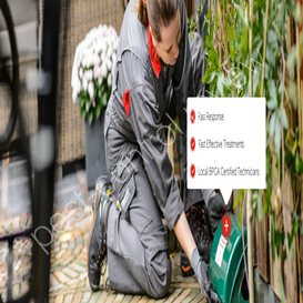 tewkesbury council pest control