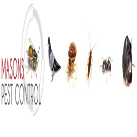 shield pest control