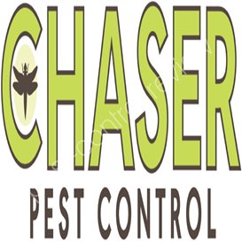 rid it pest control