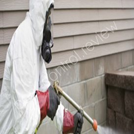 bromley pest control bromley