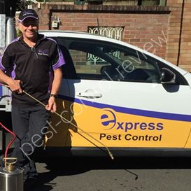 pest control rickmansworth