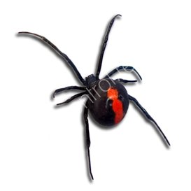 stv pest control products