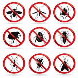 best pest control on london