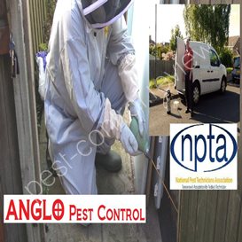 gwynedd pest control