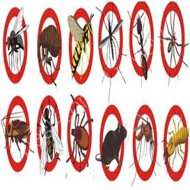 orkin pest & termite control los angeles ca