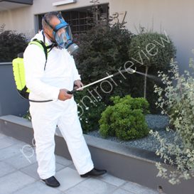 goodbye bugs pest control