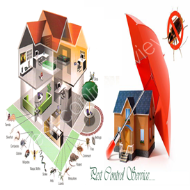 discreet pest control services