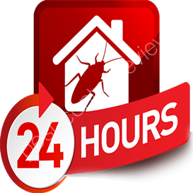bracknell council pest control