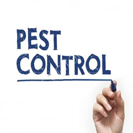 texas pest control license
