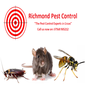 arizona pest control
