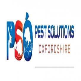 pest control rock hill sc