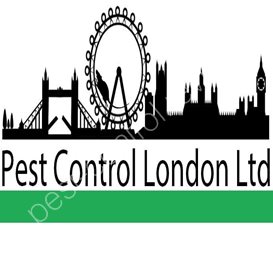natural pest control spiders