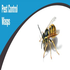 viking pest control clinton nj