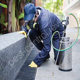 pest control services in chennai
