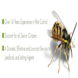 pest control services ilford