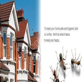 nuneaton bedworth borough council pest control