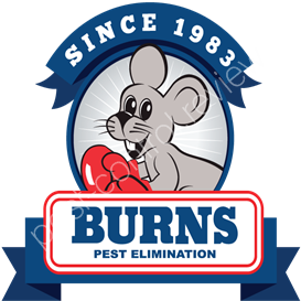 prime pest control spokane