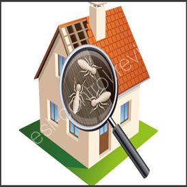 abc pest control