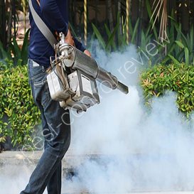 pest control upper hutt