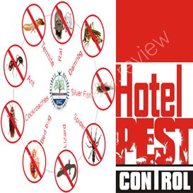 termite and pest control