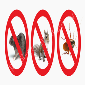 redbridge pest control rats