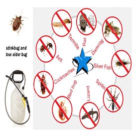 pest control welwyn garden city
